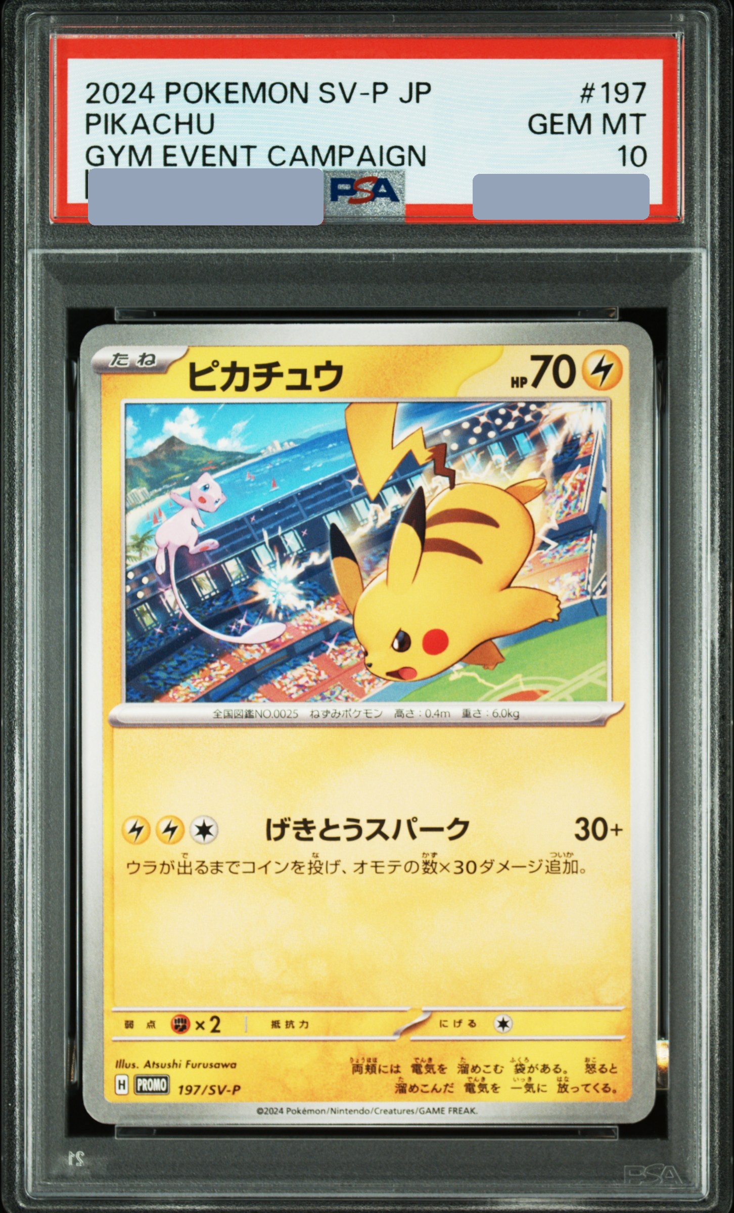 Pikachu | YAICHI 谷日百貨| 全港最大日本網上商場